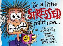I'm a little Stressed right now!