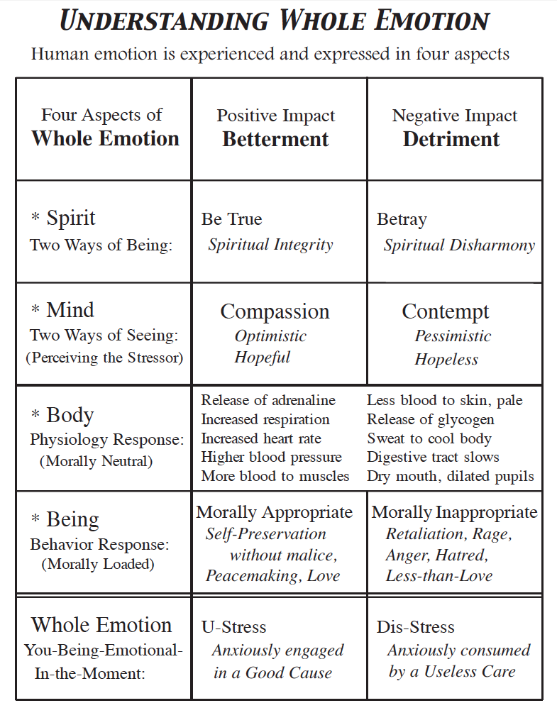 Key Principles Complementary to Seven 7 Habits of Highly Effective ...